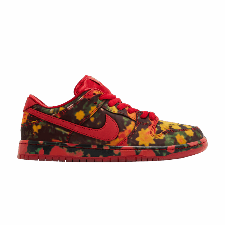 Nike SB Dunk Low The Wizard of Oz Poppy Field