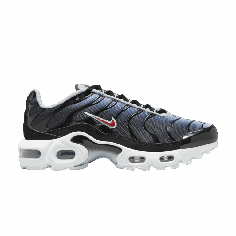 Nike Air Max Plus Blue Tint Rugged Orange (GS)