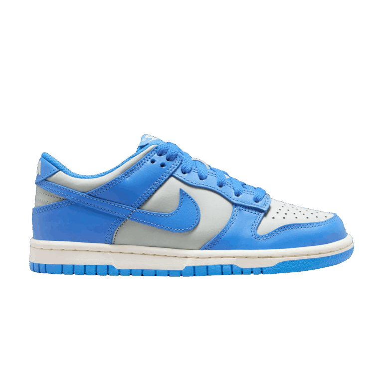 Nike Dunk Low Light Silver Sail Light Photo Blue (GS)